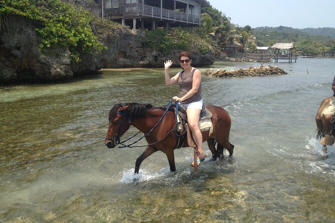 Roatan Half-Day Horseback Riding, Zip Line Monkey & Sloths and Snorkel - Overview and Inclusions