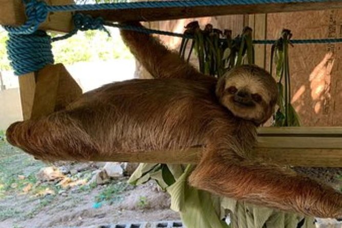 Roatan Private Wildlife and Beach Day Excursion (Feb ) - Excursion Overview