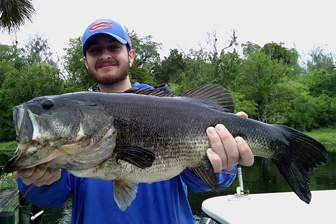 Rodman Reservoir Fishing Trips Near Gainesville Florida - Pricing and Booking Details
