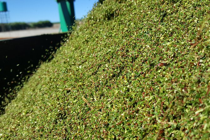 Rooibos Tea Plantation Private Tour and Tasting  - Western Cape - Pricing and Booking