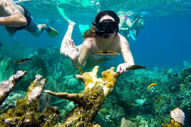 Rosario Islands Group Boat Tour With Upgrades From Cartagena - Pricing and Booking Information