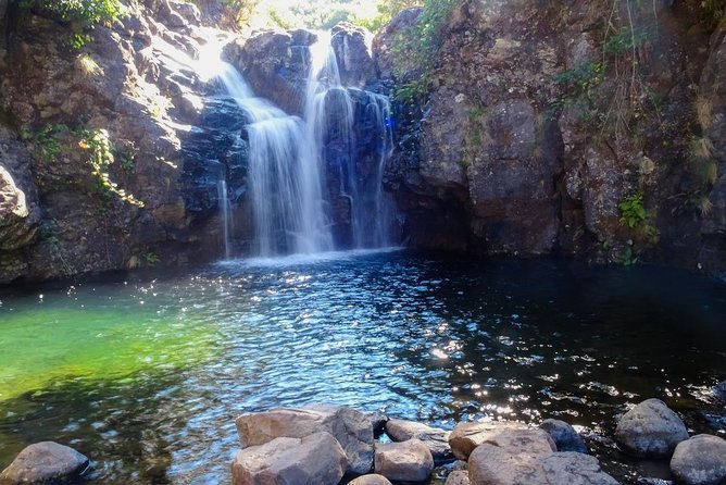 Rosemary Levada Full-Day Walking Tour  - Madeira - Tour Overview and Highlights