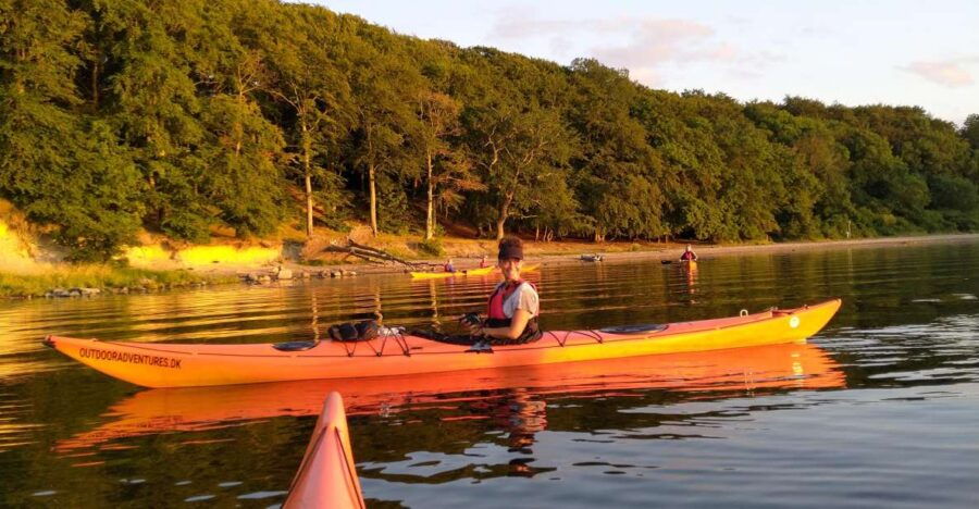Roskilde: Guided Kayaking on Roskilde Fjord: Private Tour - Good To Know