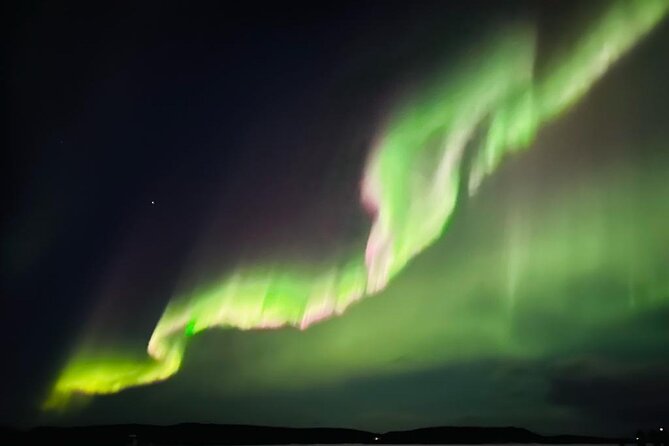Rovaniemi Northern Lights Small-Group BBQ With Hotel Transfers - Good To Know
