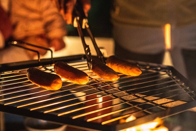Rovaniemi Private Northern Lights Tour With Fireside Dinner - Tour Overview