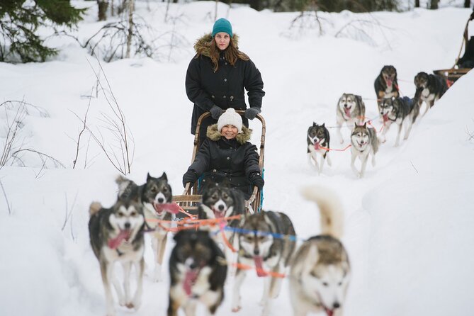 Rovaniemi Reindeers Farm & Husky Safari Aurora BBQ Tour! - Tour Details and Inclusions