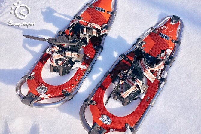 Rovaniemi Snowshoe Excursion - Overview and Experience