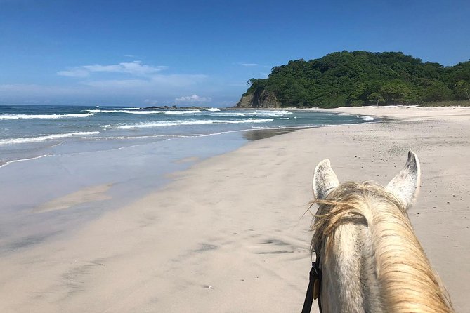 Safari & Barigona Beach on Horseback - Experience the Thrill of Horseback Riding