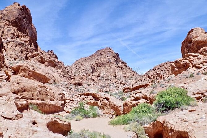 Safari Day Tour To Wadi El Gamal National Park From Marsa Alam - Tour Overview
