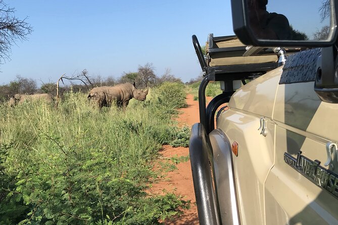 Safari Game Drive: Dinokeng Game Reserve - Overview and Tour Details