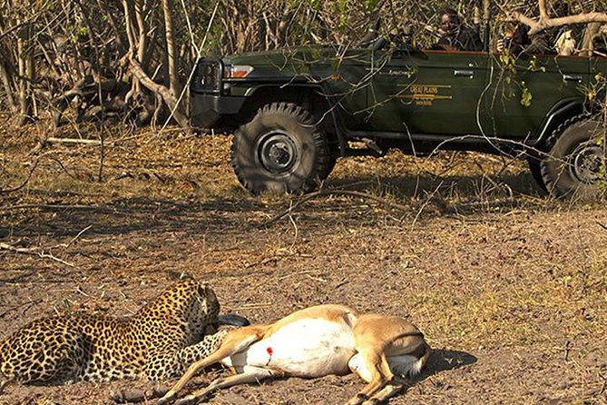 Safari In Jhalana Leopard Conservation Reserve, Jaipur - Safari Pricing and Booking Details