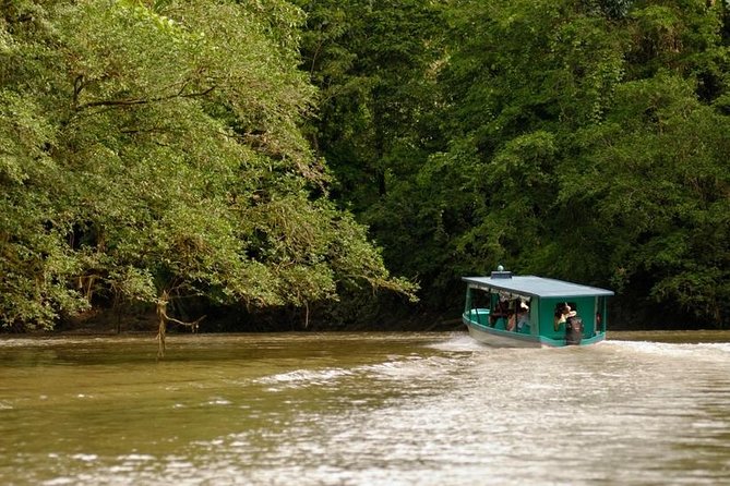Safari on Sarapiqui River With Lunch From San Jose - Tour Highlights