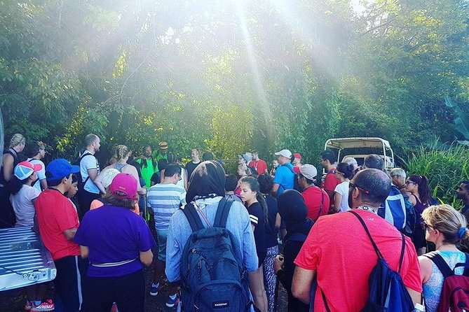 Saint Kitts and Nevis Volcano Trek  - St Kitts - Volcano Caldera Trek