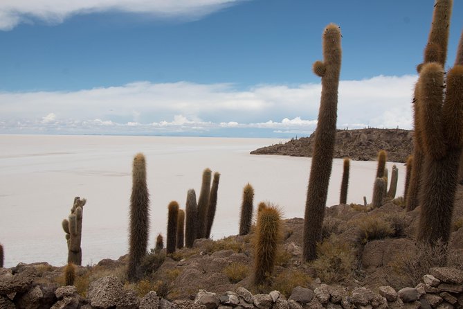 Salar De Uyuni Private Full-Day Tour From Uyuni - Tour Itinerary Highlights
