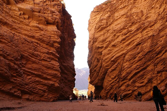 Salta Day Trip Uncovers Cafayate's Treasures - Lerma Valley Exploration