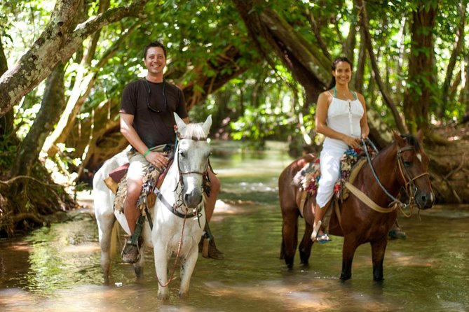 Samana Discovery - Tour Overview
