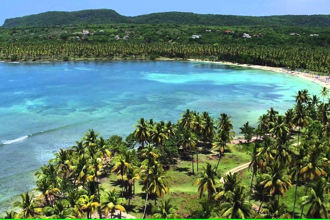 Samana Full Day Trip From Punta Cana - Why Choose Samana for a Day Trip?