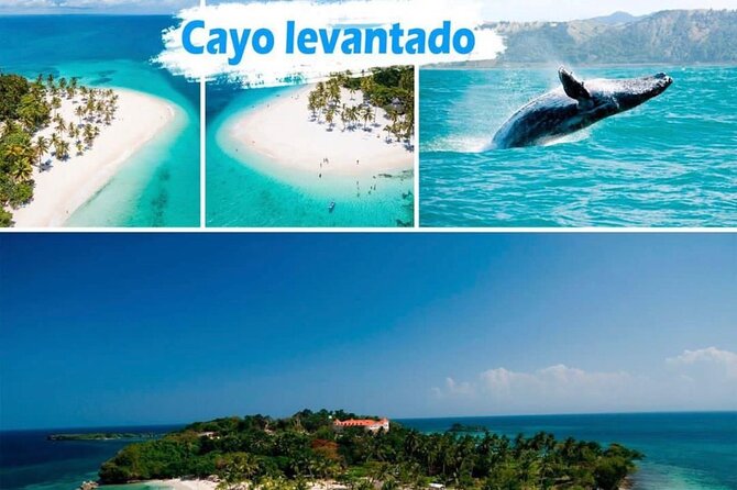 Samana Whales Full Day -Baracardi Island, Horses, Lemon Waterfall - Meeting and Pickup