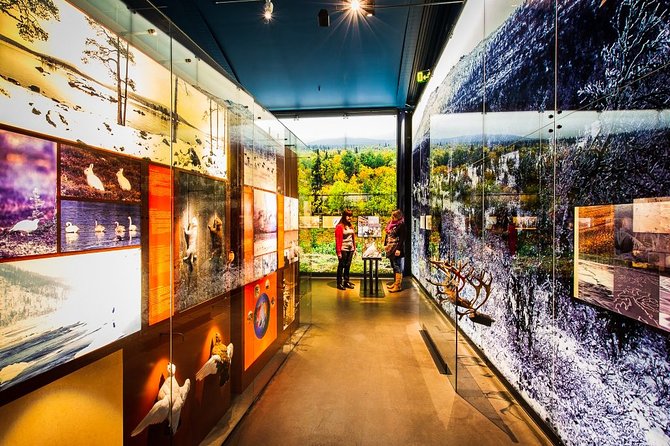 Sámi Village Inari and Siida Museum by Car - Tour Details