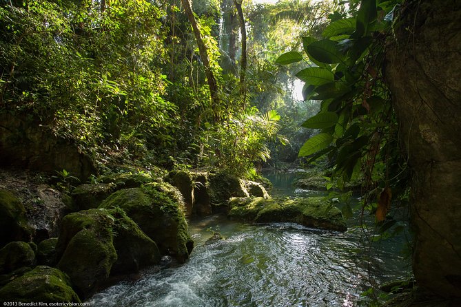 San Ignacio Small-Group Full-Day ATM Cave Tour (Feb ) - Tour Highlights