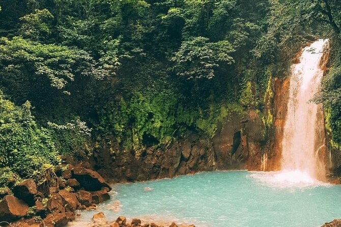 Santa Cruz Private Waterfalls, Sloth, Frogs Tour (Feb ) - Tour Highlights