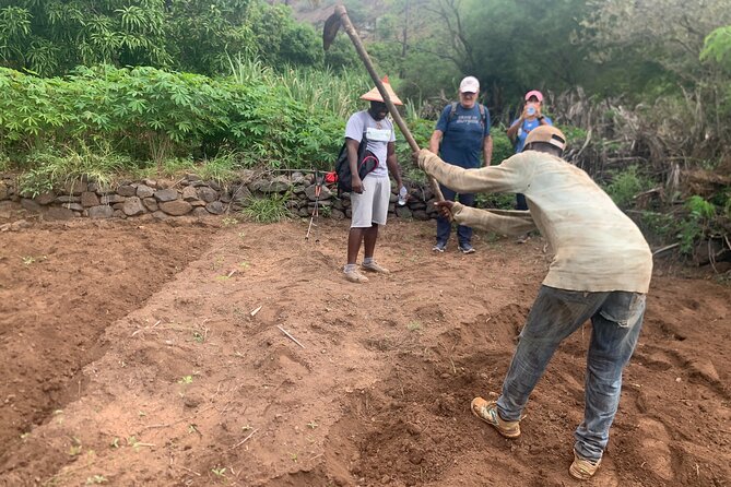 Santiago Island: 4-Hours Rui Vaz, Longueira Hike Trip With Tasting - Hiking Tours on Santiago Island
