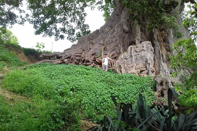 Santiago Island Experience - Tour Highlights and Itinerary