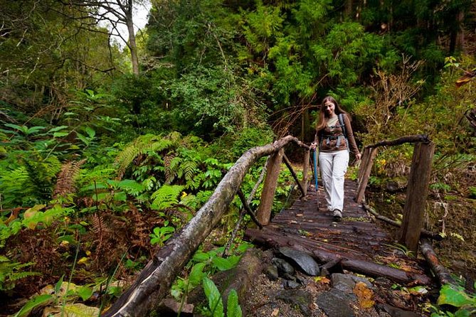 Sao Miguel Azores to Faial Da Terra Trek From Ponta Delgada - Tour Details