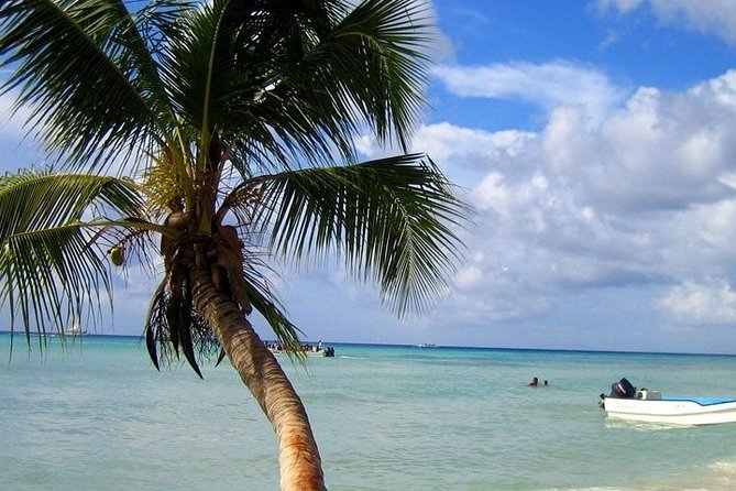 Saona Island by Catamaran and Speedboat - Itinerary Overview