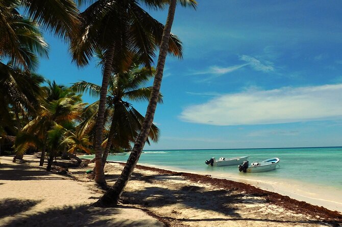 Saona Island Day Trip From Cap Cana With Lunch and Open Bar Included - Trip Highlights