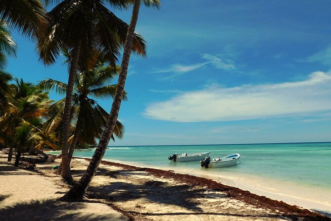 Saona Island Day Trip Lobsters Included in Cap Cana - Trip Highlights