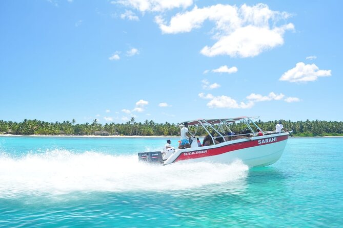 Saona Island Full Day Tours - Catamarán Party From Santo Domingo - Overview of Saona Island Full Day Tours