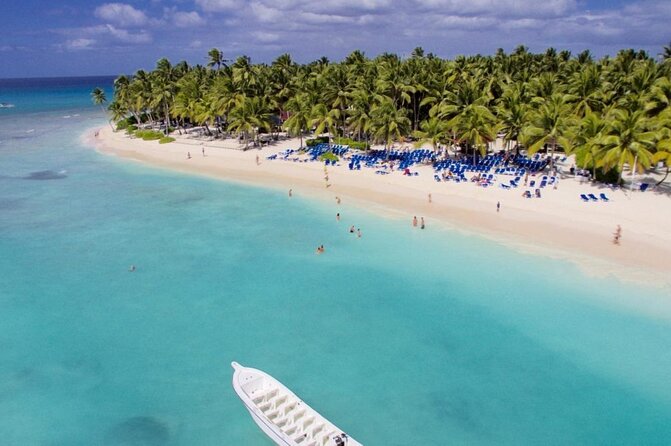 Saona Island Tour: All Buffet, Speedboat Catamaran - Tour Highlights