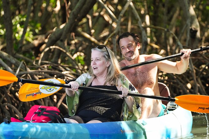 Sarasota Kayak and Food Tour - Combo Package Highlights