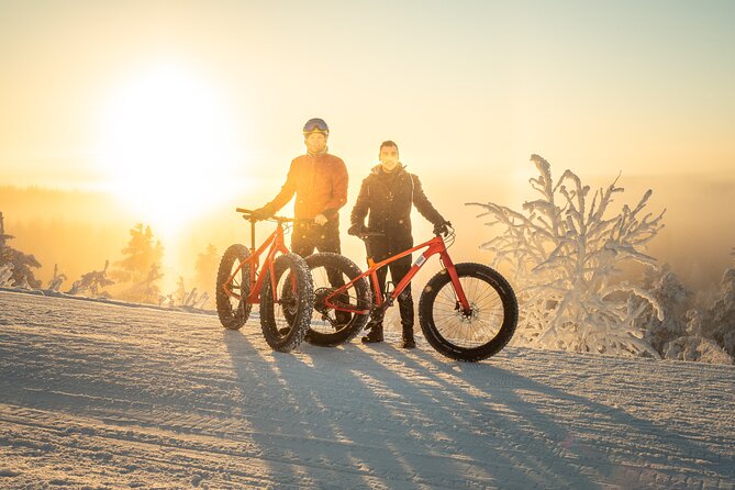 Scenic Electric Fat Bike Group Ride in Rovaniemi - Winter Cycling Excursion