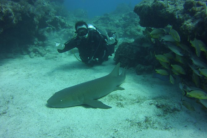 SCUBA Dive Key Largo Reef (Min/Max 6 Divers) - Overview and Requirements