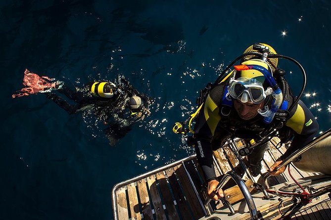 Scuba Diving Courses or Try Diving PADI or SSI - Scuba Diving Course Options