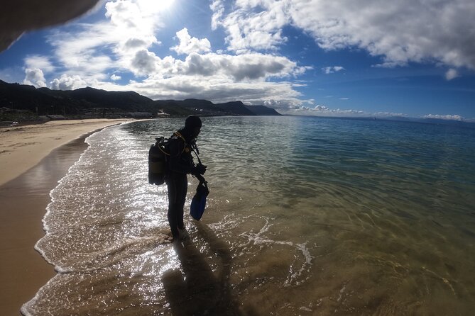 Scuba Diving Experience in Simonstown With an Expert - Accessibility and Transportation Information