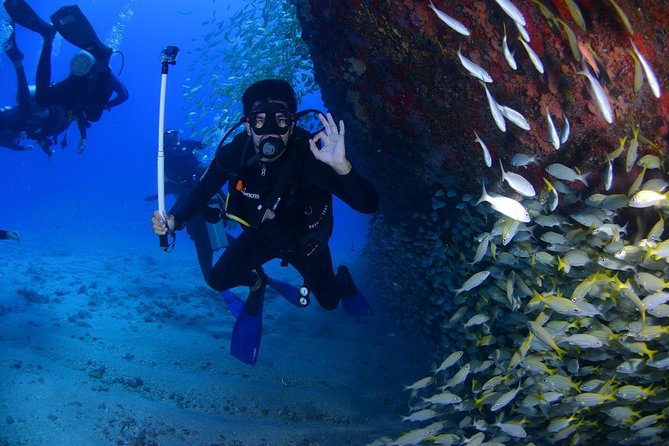 Scuba Diving in Boracay - Experience Details