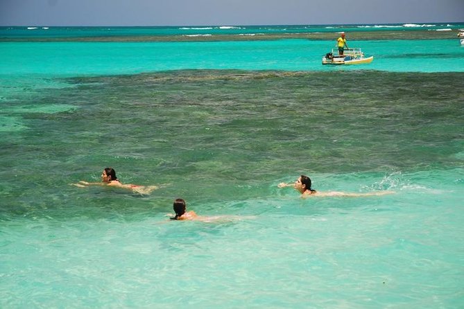 Secure Your Spot: Recife to Maragogi Transfer - Pricing and Booking