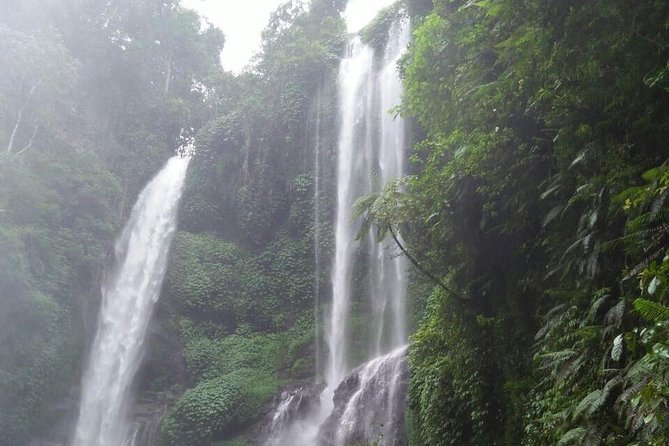 Sekumpul and Aling-Aling Waterfalls Private Tour With Jumps  - Nusa Dua - Tour Overview and Details