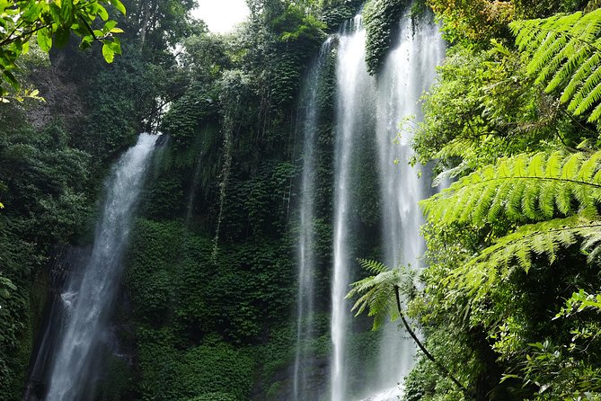 Sekumpul and Banyumala Waterfalls Hiking Tour (Private & All-Inclusive ) - Private Tour From Kuta
