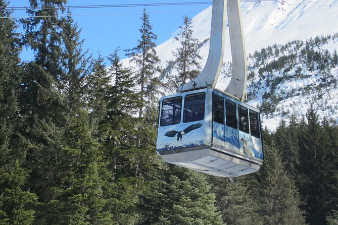 Self-Guided Alaska Wildlife Center and Turnagain Arm Tour W/Alyeska Tram - Logistics and Meeting Point
