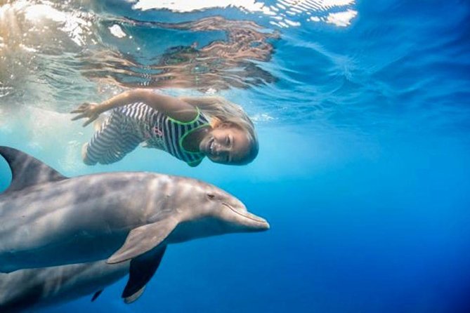 Semi PRIVATE Speedboat Swim With Dolphins Sea Trip From Hurghada - Good To Know