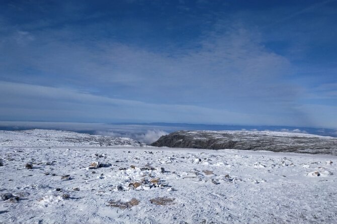 Serra Da Estrela S1 - Tasting of Serra Da Estrela Cheese and Regional Liquors. - Tasting the Finest Regional Liquors