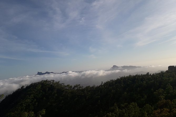 Serra Malagueta Private Hiking Tour  - Beach - Tour Details