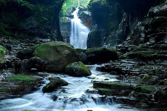 Shared Hidden Valley Tour From Manila - Hidden Valley Description