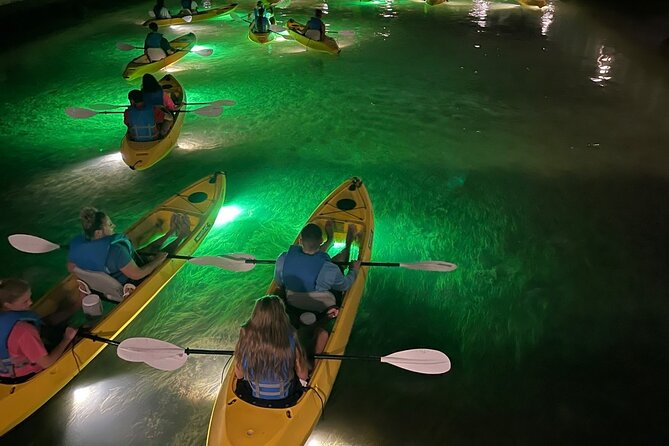 Sharkeys LED Glass Bottom Fish Feeding Night Tour in Clearwater - Tour Overview