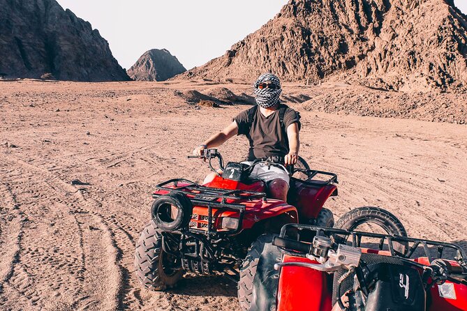 Sharm: Quad Bike or Car Buggy, Camel Ride & Optional VIP Bedouin Dinner & Show - Pricing and Booking