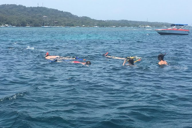 Shore Excursion: Roatan City Tour With Two Hour Snorkel - Itinerary Details